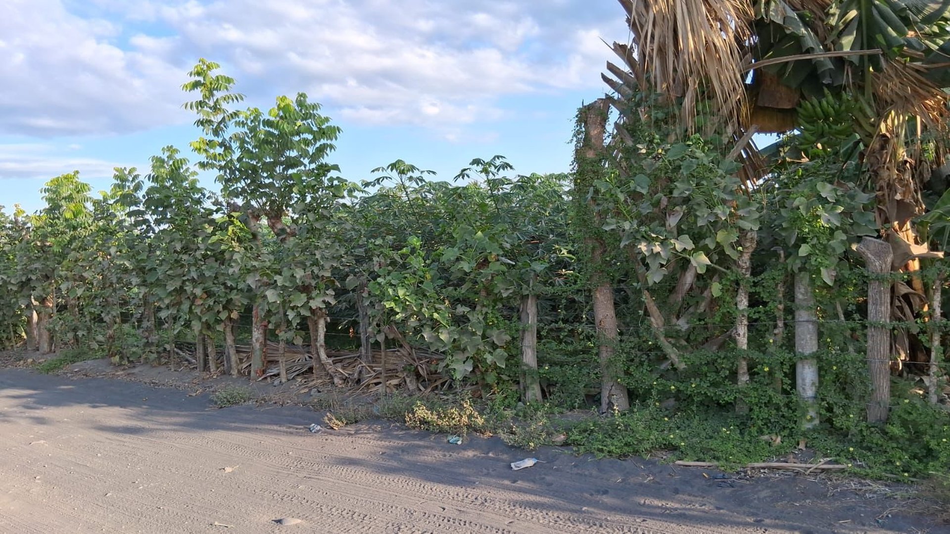TERRENO EN VENTA EN ESCUINTLA