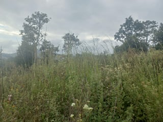 Terreno Comercial área San Pedro Ayampuc - 2