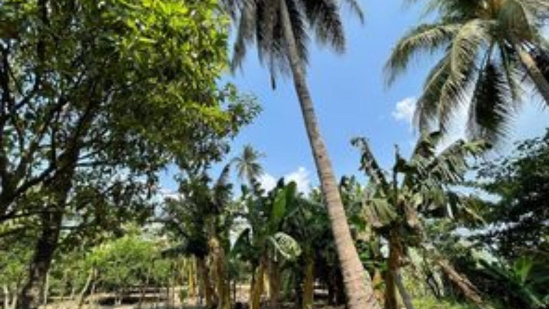 Terreno en Venta I Puerto San José - Miniatura 8