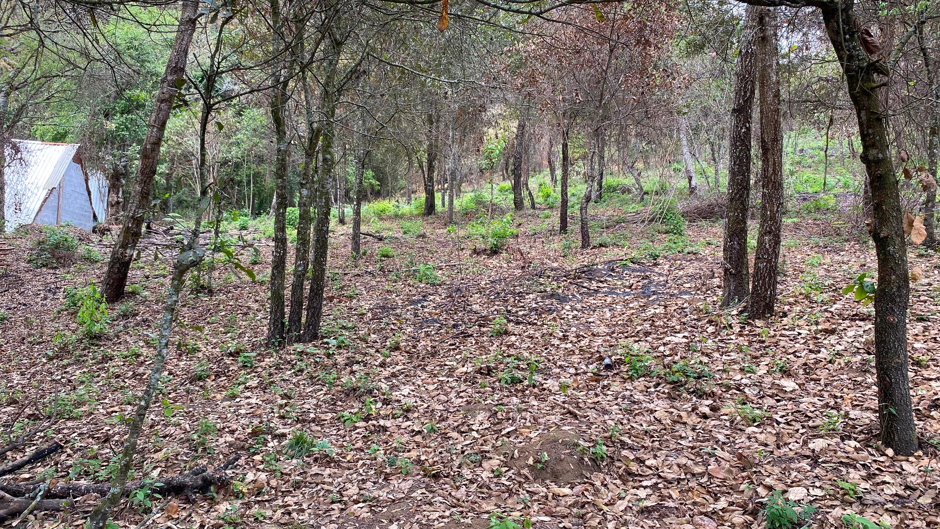 Lote Comercial 25,000 v2 en Venta - San Lucas Sacatepéquez - Miniatura 2