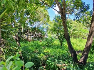 Amplio Terreno rustico en Venta, Sta Lucia Milpas Altas - 4