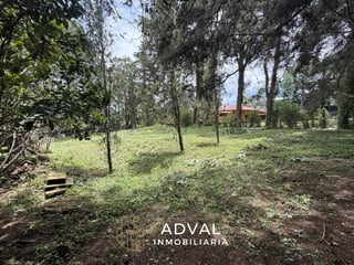 Terreno exclusivo en excelente ubicación Arrazola 1 CAES KM 17.5 - 5