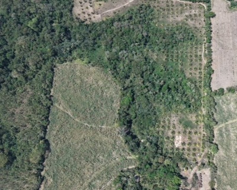 Terreno en Venta Aldea Xayá, Santa Lucía Cotzumalguapa