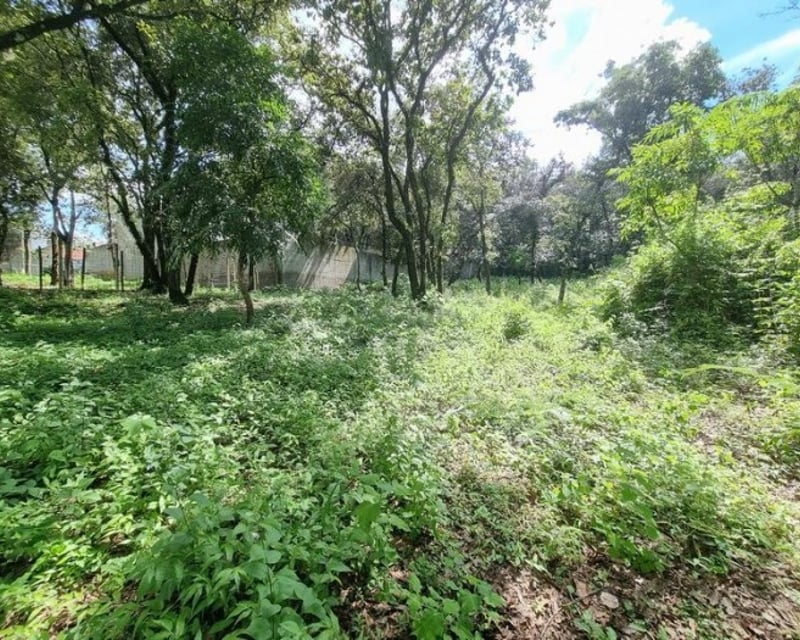 Terreno de 22,755 Vrs² en Venta en Las Hojarascas Mixco