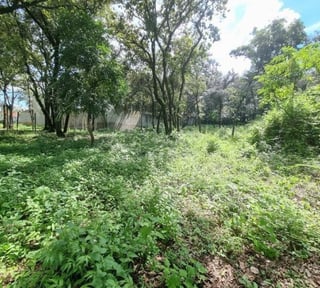 Terreno de 22,755 Vrs² en Venta en Las Hojarascas Mixco
