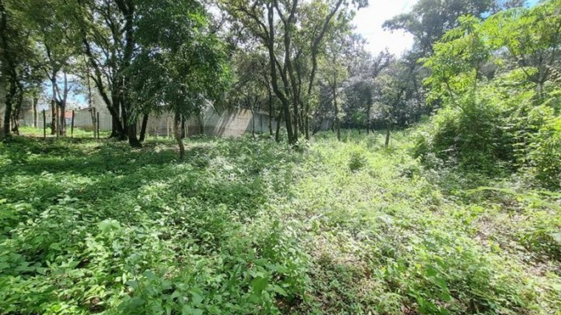 Terreno de 22,755 Vrs² en Venta en Las Hojarascas Mixco