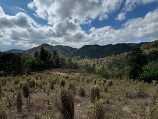 SAN PEDRO AYAMPUC/ FINCA EN VENTA PARA DESARROLLO - 2