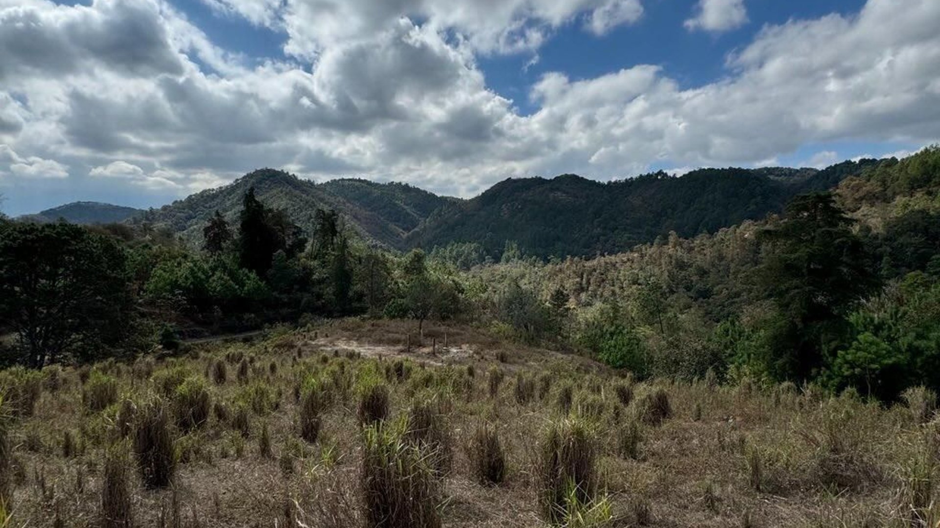 SAN PEDRO AYAMPUC/ FINCA EN VENTA PARA DESARROLLO - Miniatura 2