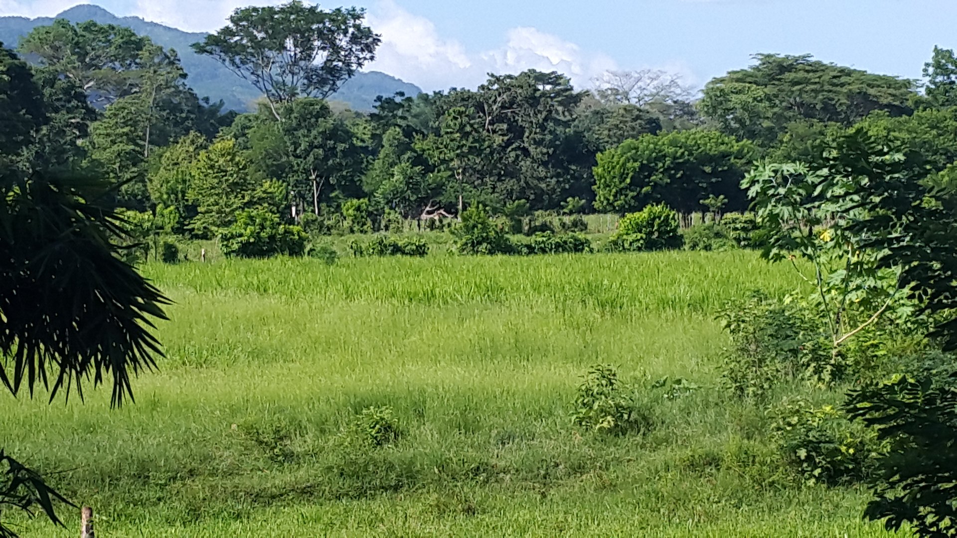 FINCA EN VENTA EN ALDEA EL SAUCE  - Miniatura 19