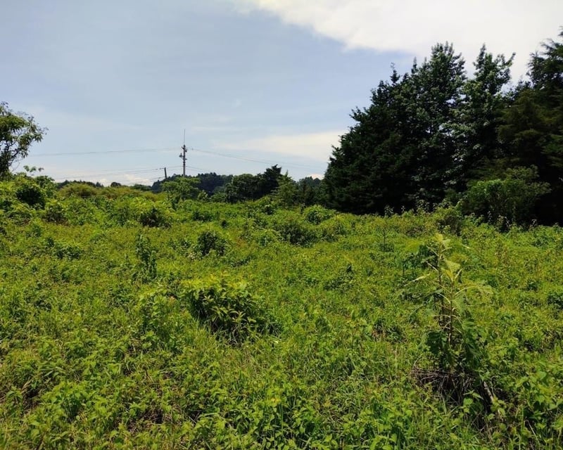 TERRENO CARRETERA A FRAIJANES EN VENTA , CES
