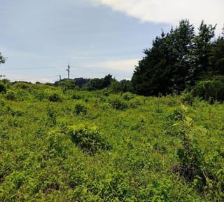 TERRENO CARRETERA A FRAIJANES EN VENTA , CES