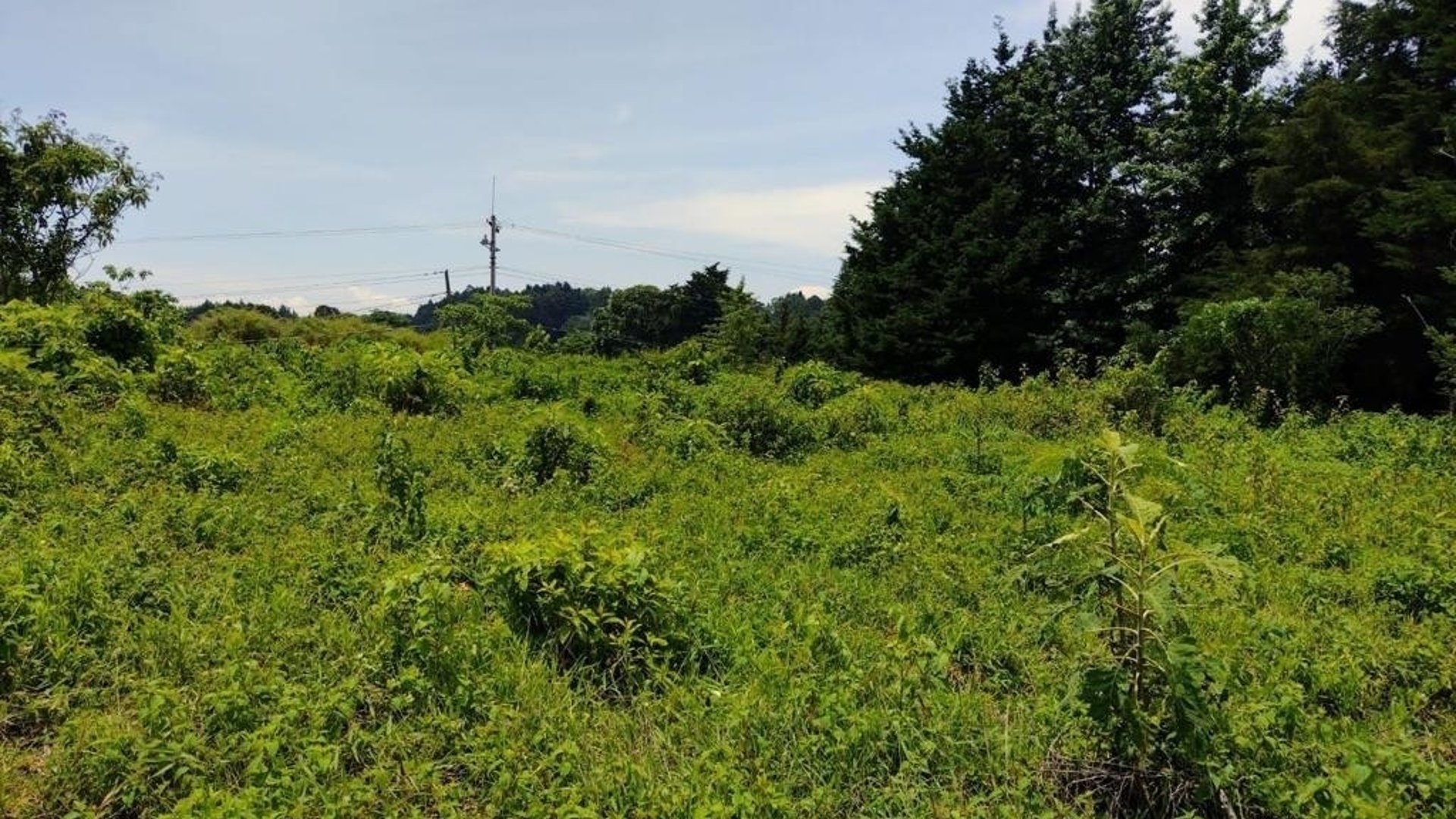 TERRENO CARRETERA A FRAIJANES EN VENTA , CES