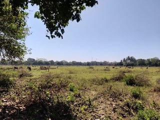 TERRENO EN VENTA EN ESCUINTLA MASAGUA - 2