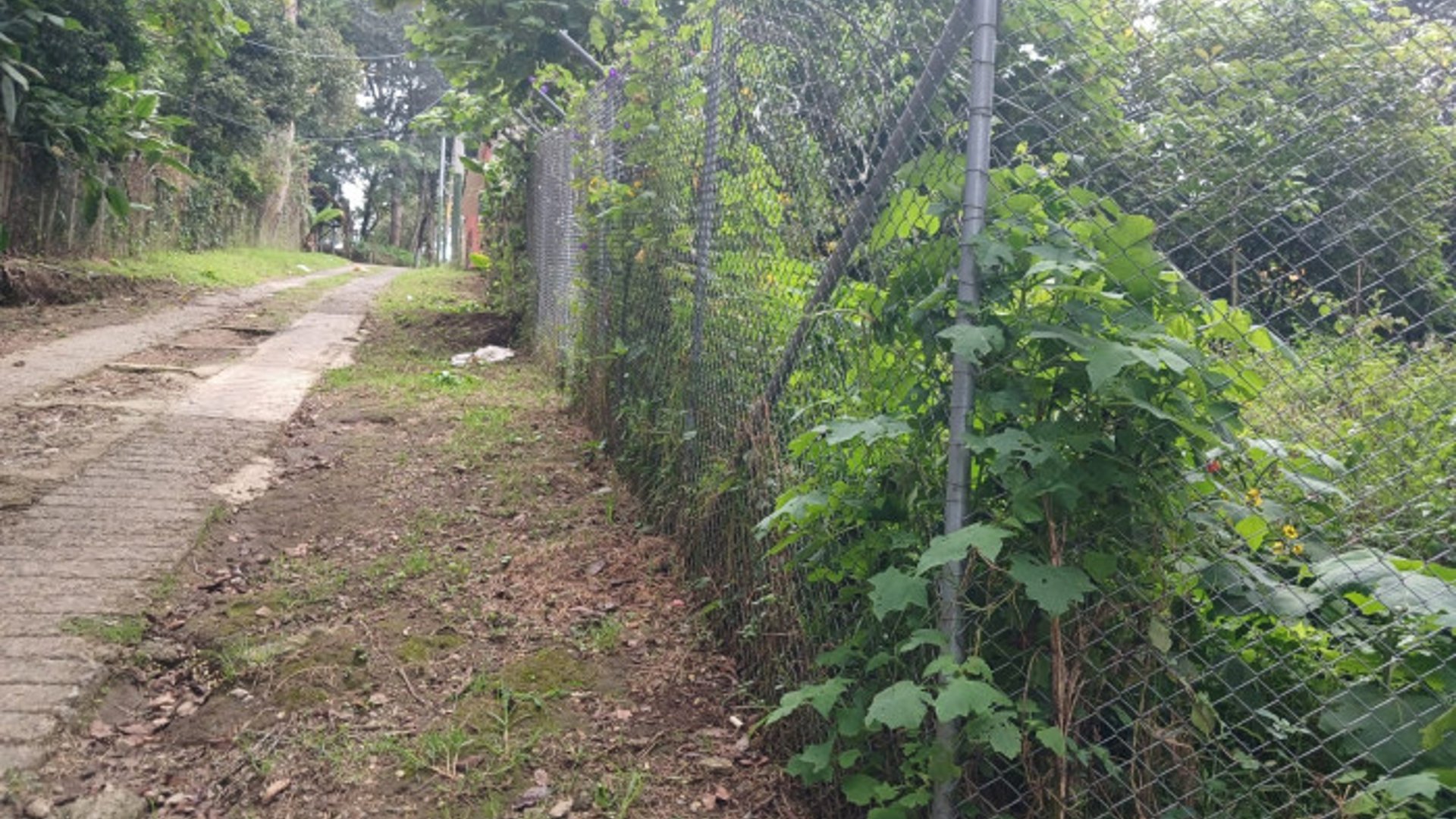 TERRENO EN VENTA EN SAN LUCAS SACATEPEQUEZ - Miniatura 6