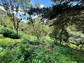Terrenos en venta Vistalvalle, km 9 CAES - 4