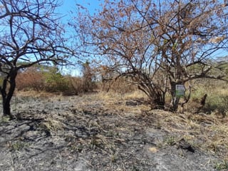 Terreno de 14 x 50 metros en Venta Quintas Malibu - 5