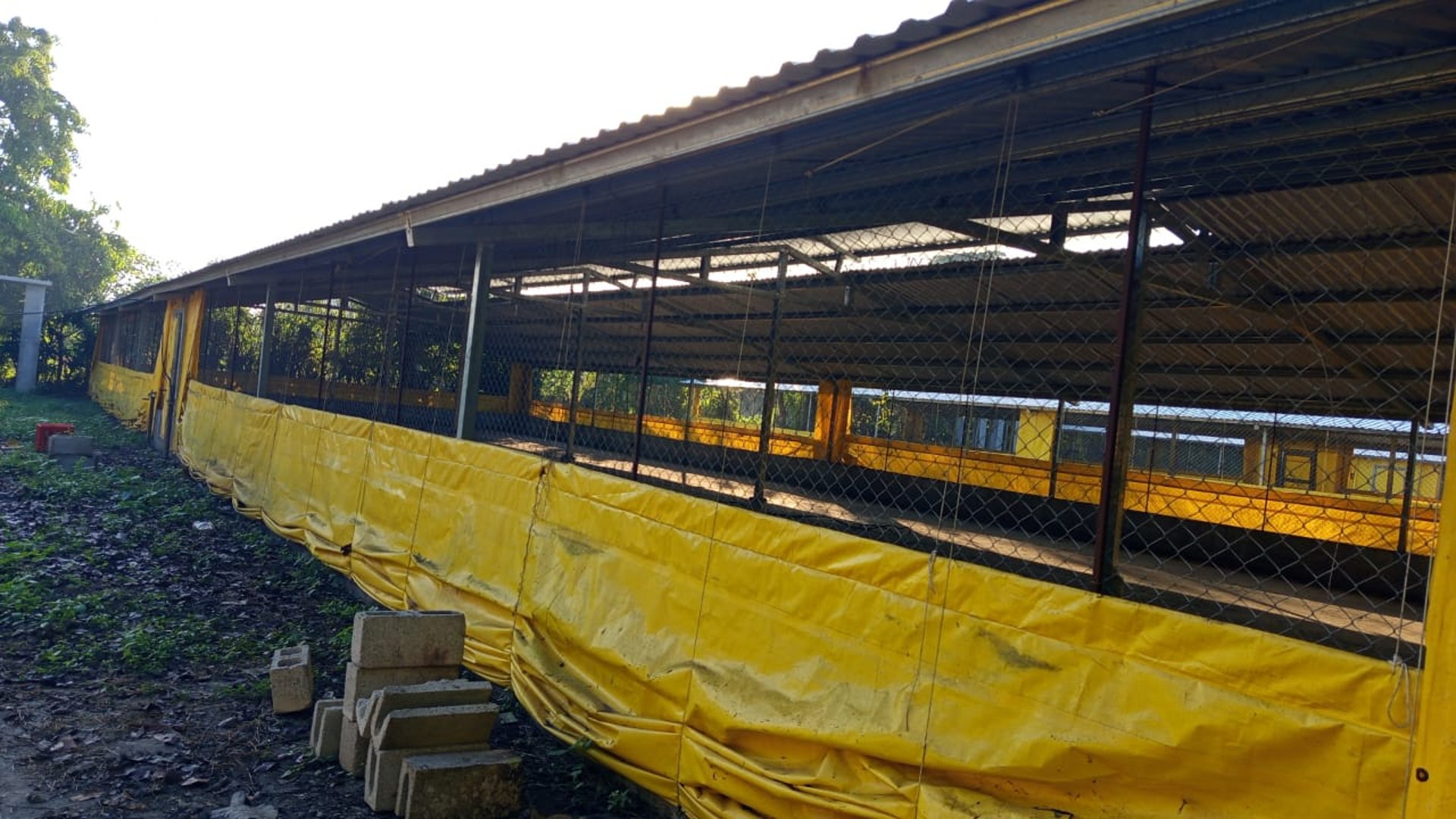 Terreno en Venta Km. 81 Masagua, antigua carretera a Puerto Quetzal - Miniatura 12