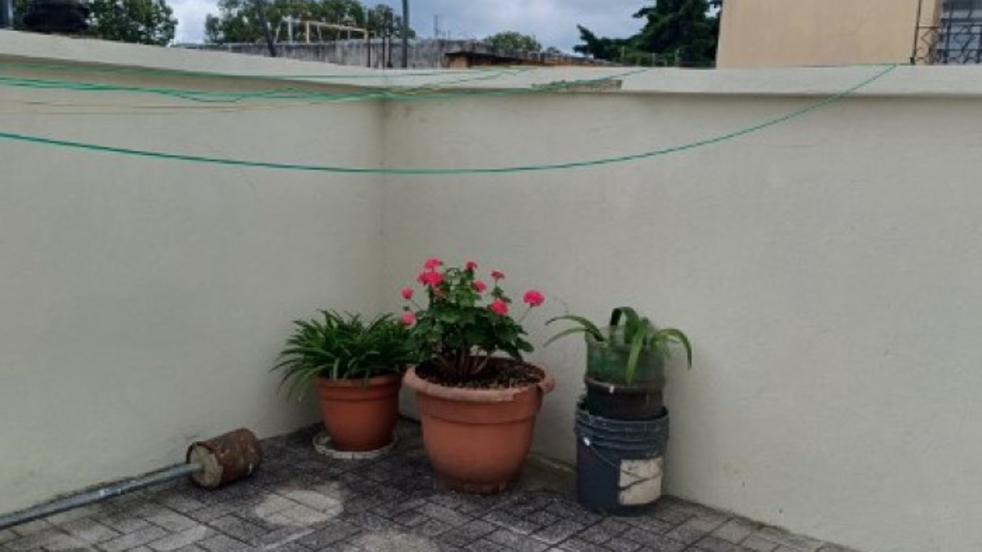 Apartamento Amueblado en Renta Zona 17 Ciudad Guatemala - Miniatura 9