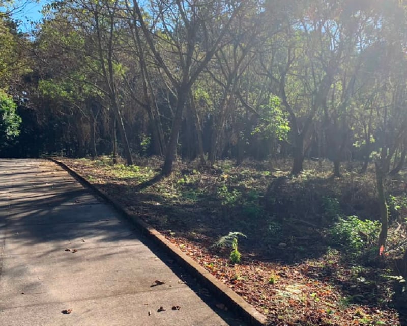 TERRENO EN VENTA EN CASA Y CAMPO, KM 23.5 CAES
