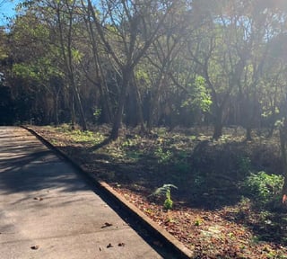 TERRENO EN VENTA EN CASA Y CAMPO, KM 23.5 CAES