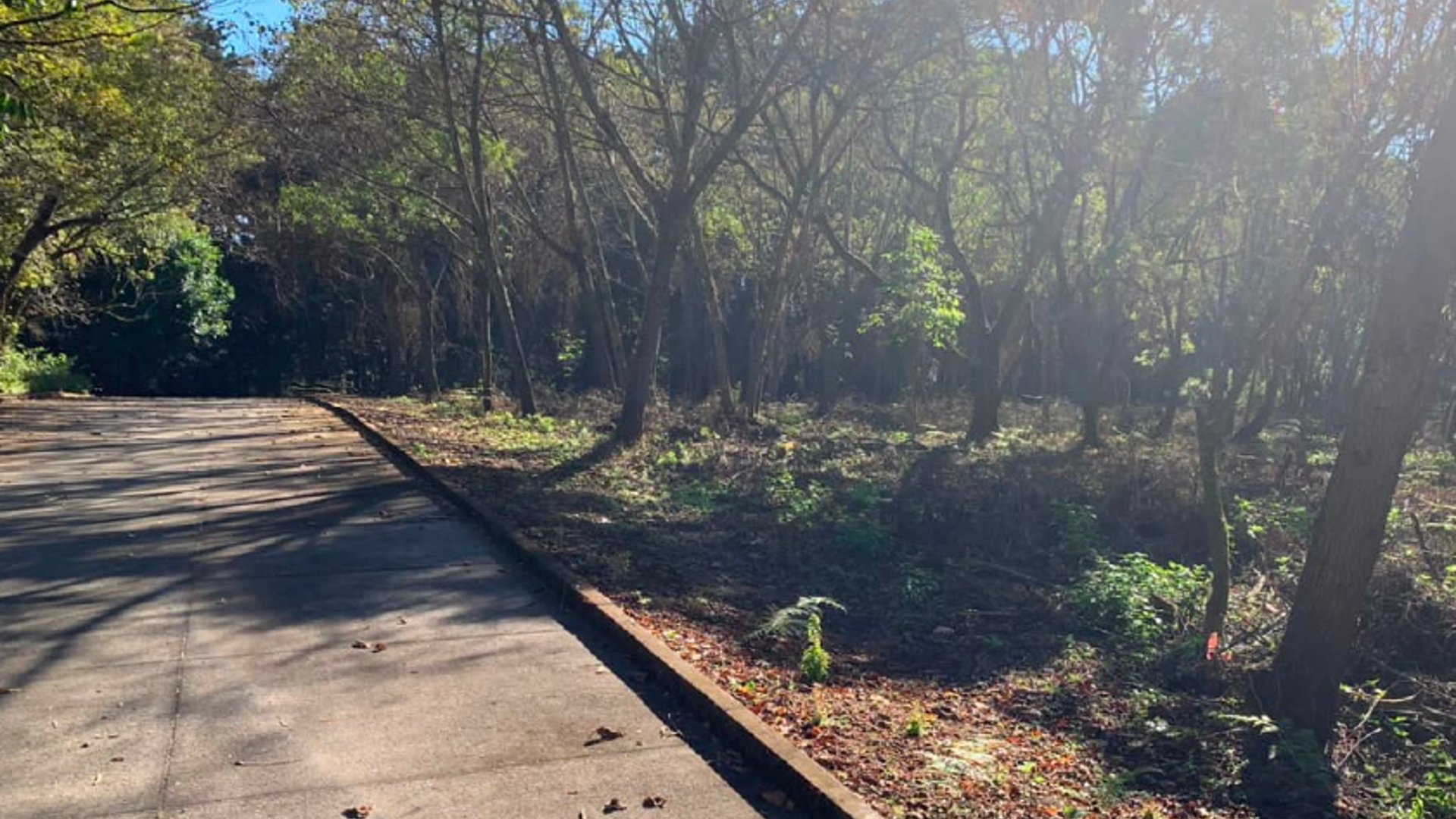 TERRENO EN VENTA EN CASA Y CAMPO, KM 23.5 CAES