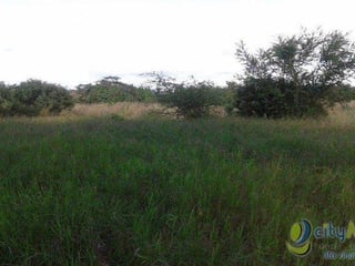 Terreno Comercial en Renta por Metro² en Sanarate - 3