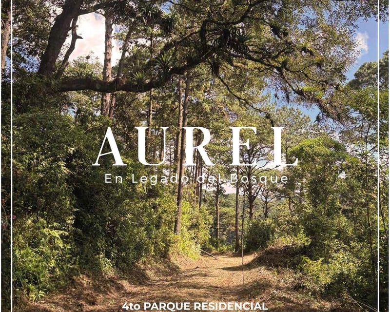 TERRENO EN  VENTA EN LEGADO DEL BOSQUE