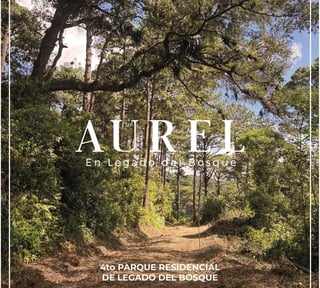 TERRENO EN  VENTA EN LEGADO DEL BOSQUE