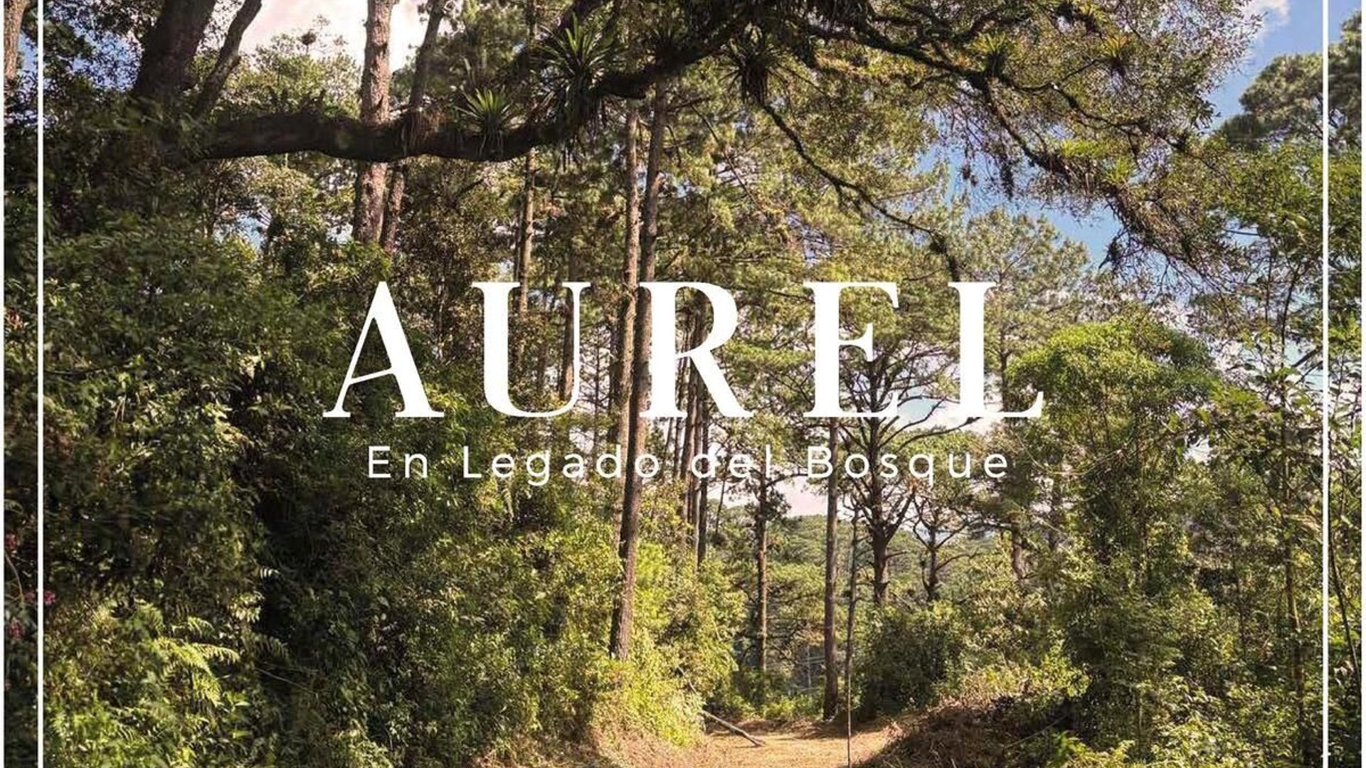 TERRENO EN  VENTA EN LEGADO DEL BOSQUE