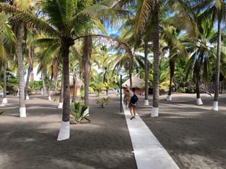 Hermoso Terreno Hotel en las Lisas Barra del Jiote - 3