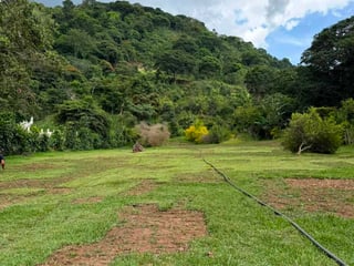 LAGUNA EL PINO TERRENO CERCA DE MANGOYA EN VENTA - 4