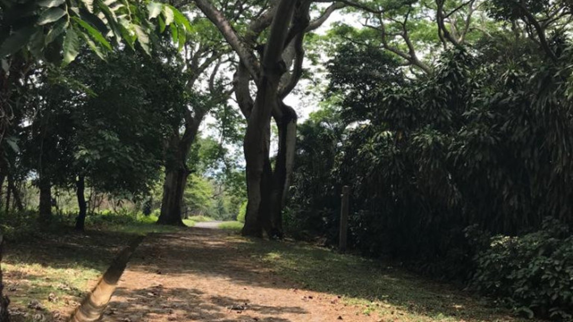 TERRENO EN VENTA CAMPO AVENTURA PALIN ESCUINTLA - Miniatura 2