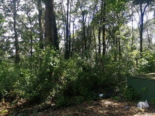 Terreno en Venta en San Lucas Sacatepequez - 1930 m2 - Image 7