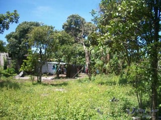 Terreno en venta a pocos minutos del centro de Antigua - 5