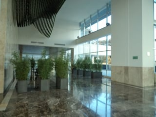 Oficina en renta en Zona Pradera zona 10 Guatemala - 4