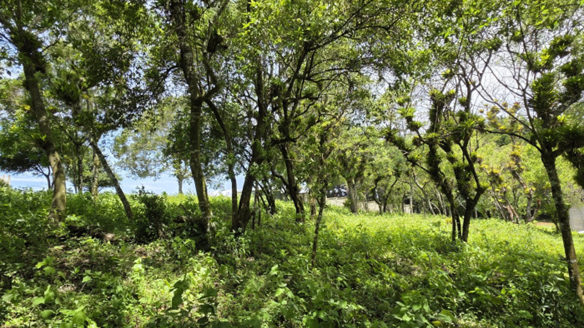 Terreno Venta Altos San Vicente Sta. Catarina Pinula - Miniatura 8