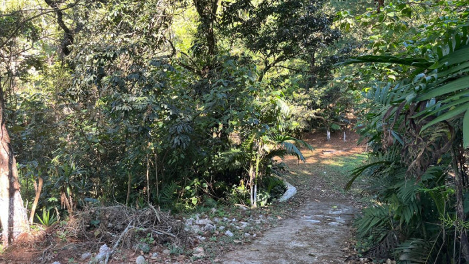 Finca en Venta en Fraijanes, Guatemala | Km 16-30 - Miniatura 2