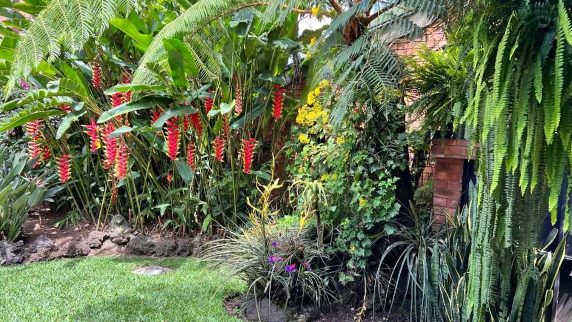 CASA EN VENTA ???? Área residencial, Zona 15 por San Lázaro - Miniatura 3