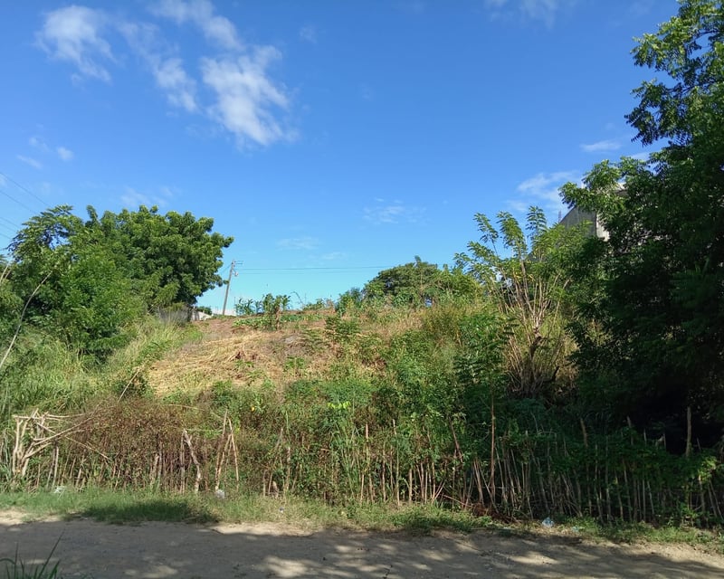 LOTE EN VENTA EN EL VALLE DEL MOTAGUA GUALAN ZACAPA