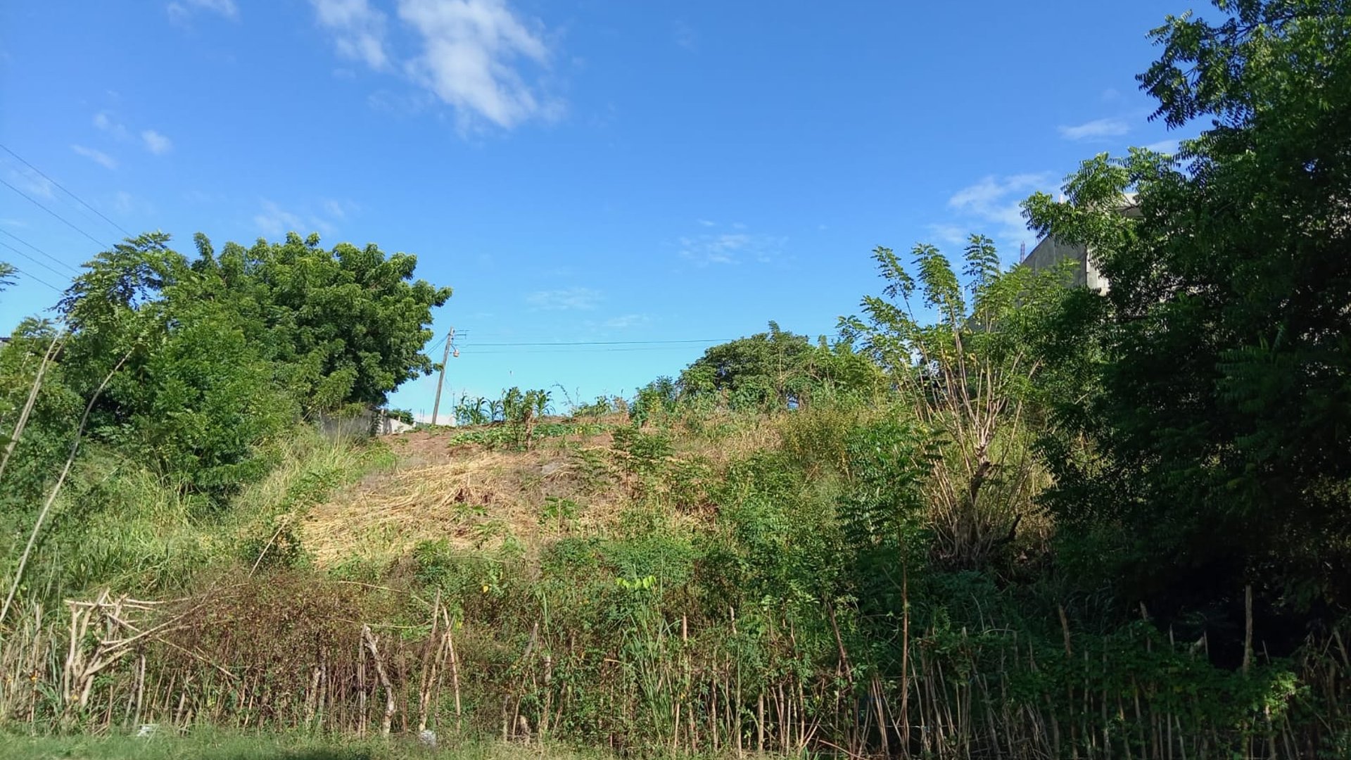 LOTE EN VENTA EN EL VALLE DEL MOTAGUA GUALAN ZACAPA