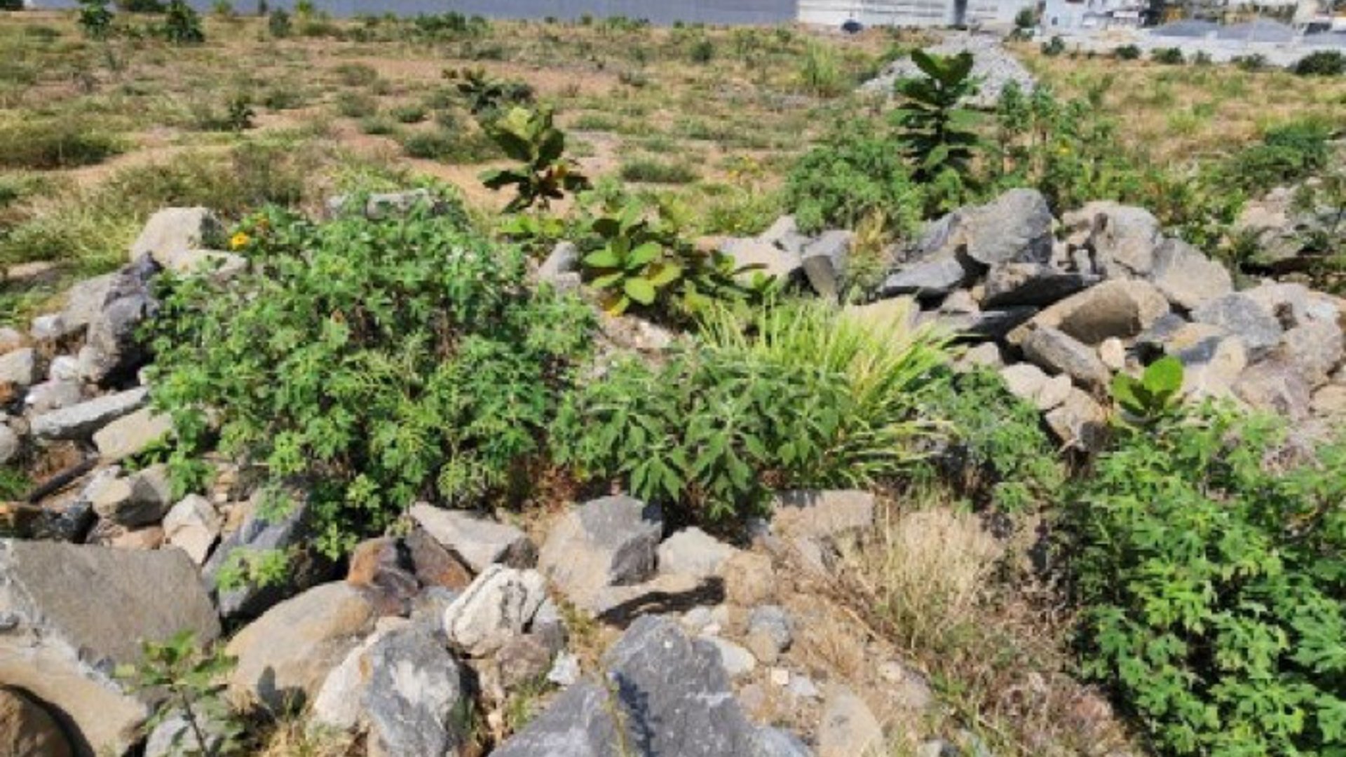 Terreno Industrial en Renta en Palin Escuintla - Miniatura 8