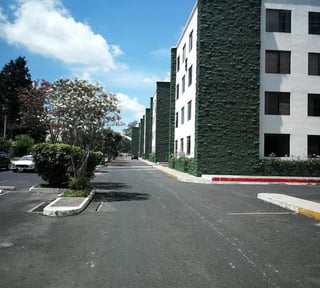 Apartamento en Renta Zona 16, Frente a C.C. Santa Amelia