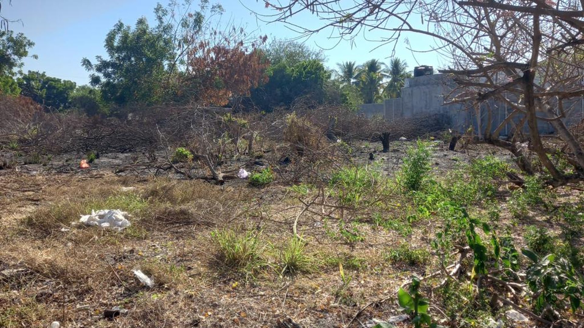 Terreno en venta camino a Monterrico - Miniatura 6