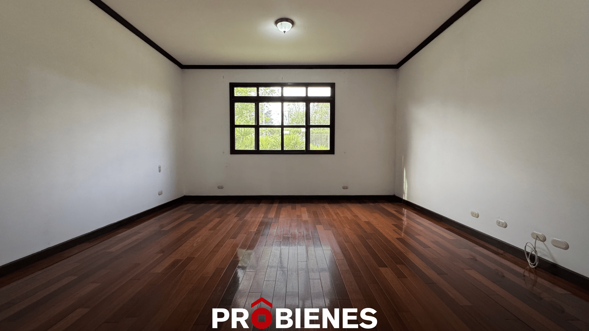 Casa en Venta | Renta en KM 18.5 CAES - Miniatura 3