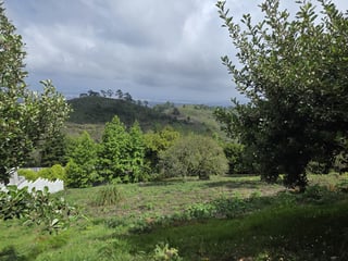 En Venta terreno en El Pulté zona 16 Guatemala - 4