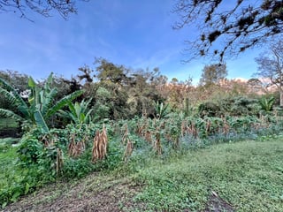 Terreno en venta, en Carretera al salvador - 2