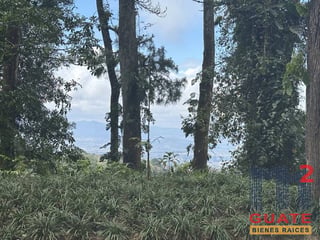 Terreno en Venta, Carretera a El Salvador (V10004) - 3