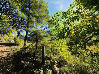 ALQUILER DE AMPLIO TERRENO RURAL - SANTA LUCIA MILPAS ALTAS - Image 9