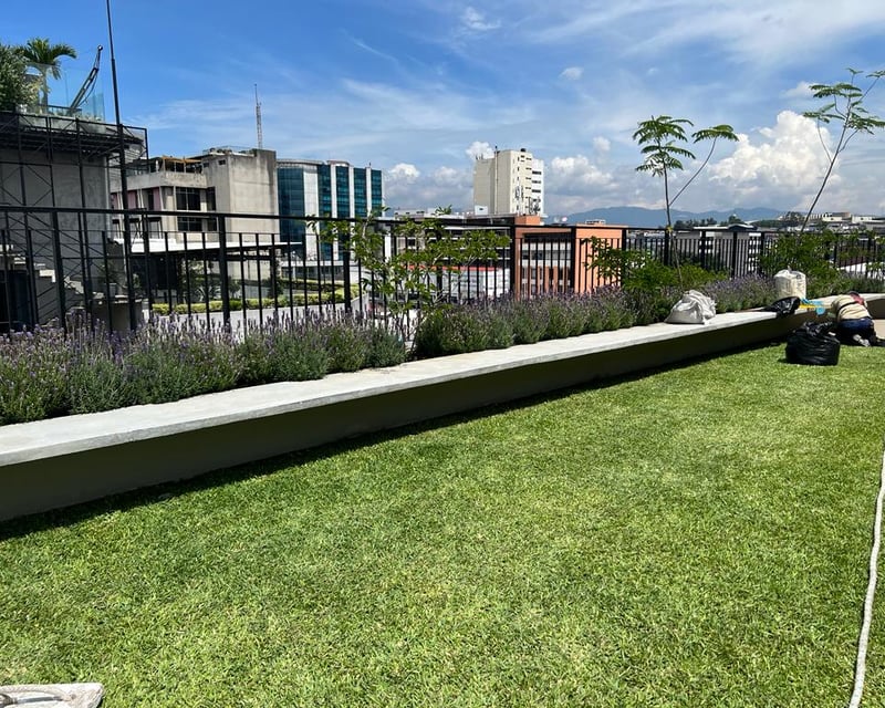 APARTAMENTO EN RENTA EN ZONA 4