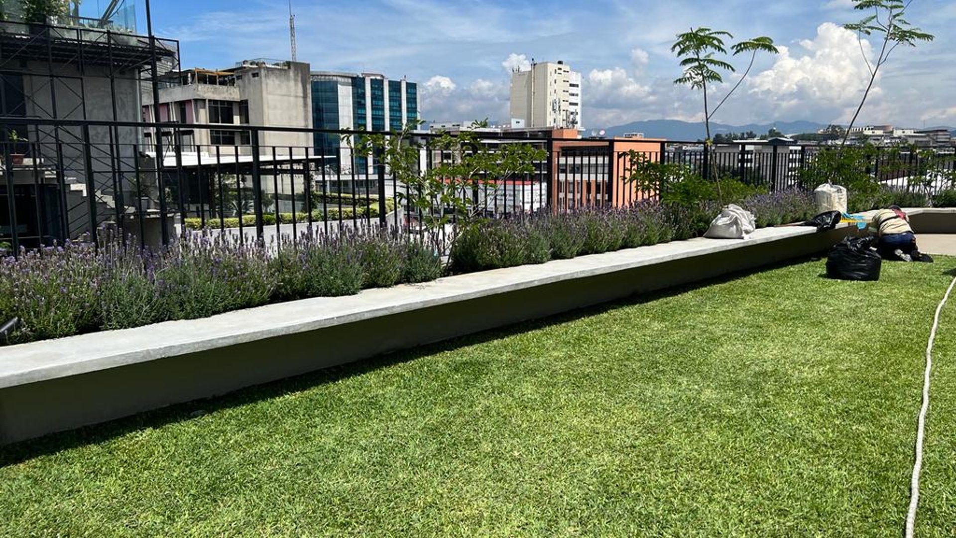 APARTAMENTO EN RENTA EN ZONA 4